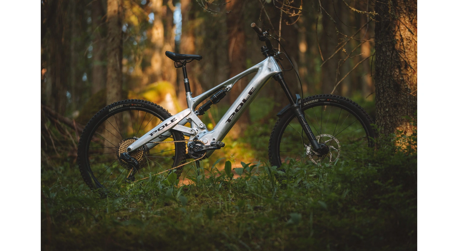 2021 Pole Cycles Voima Complete