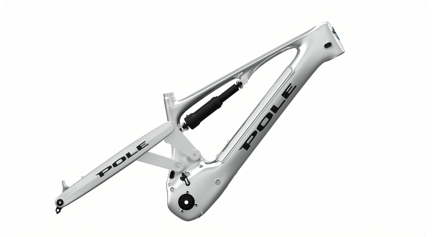 2021 Pole Cycles Voima Frameset